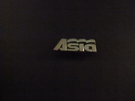 Asia ( domein van Aziatische websites ) zilverkleurig logo